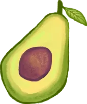 Avocado