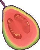 Guava