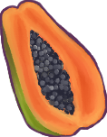 Papaya